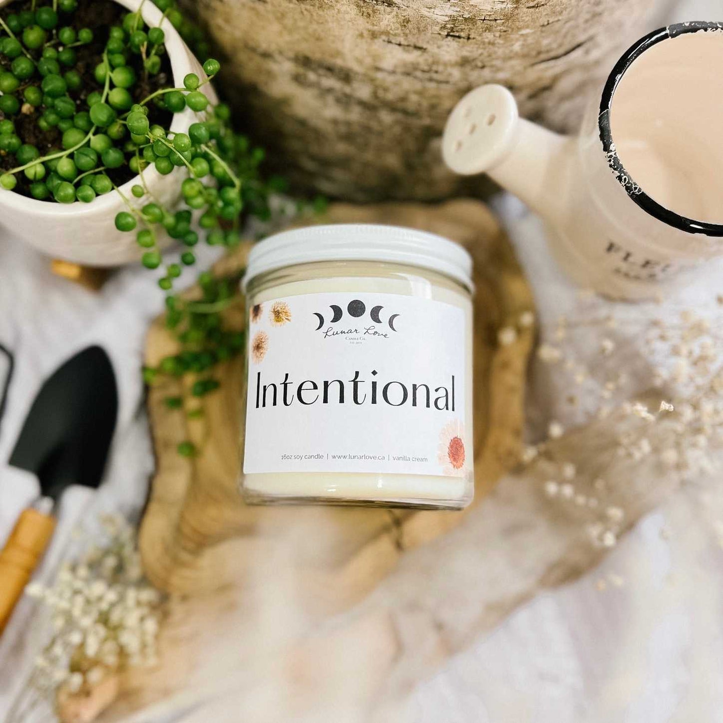 Intentional • Vanilla Cream