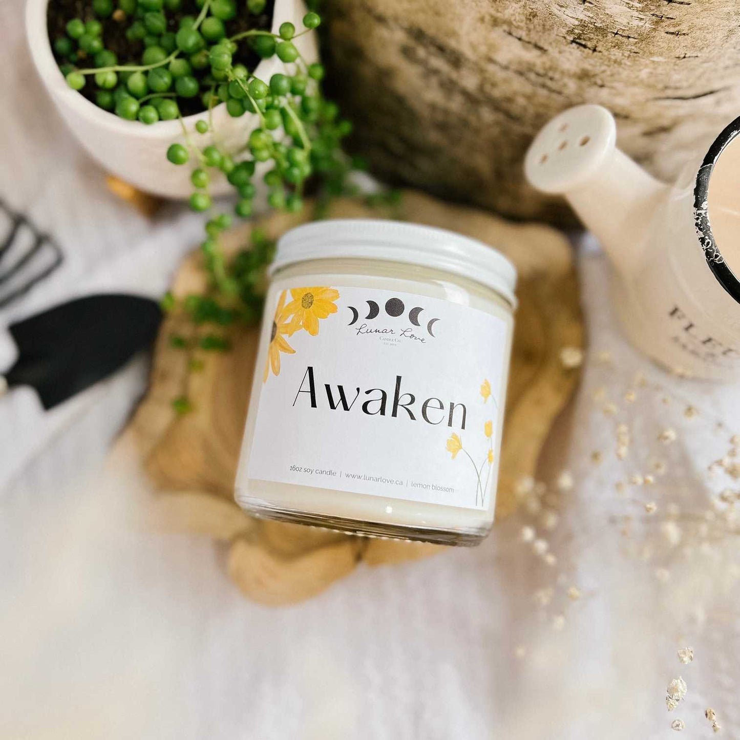 Awaken • Lemon Blossom