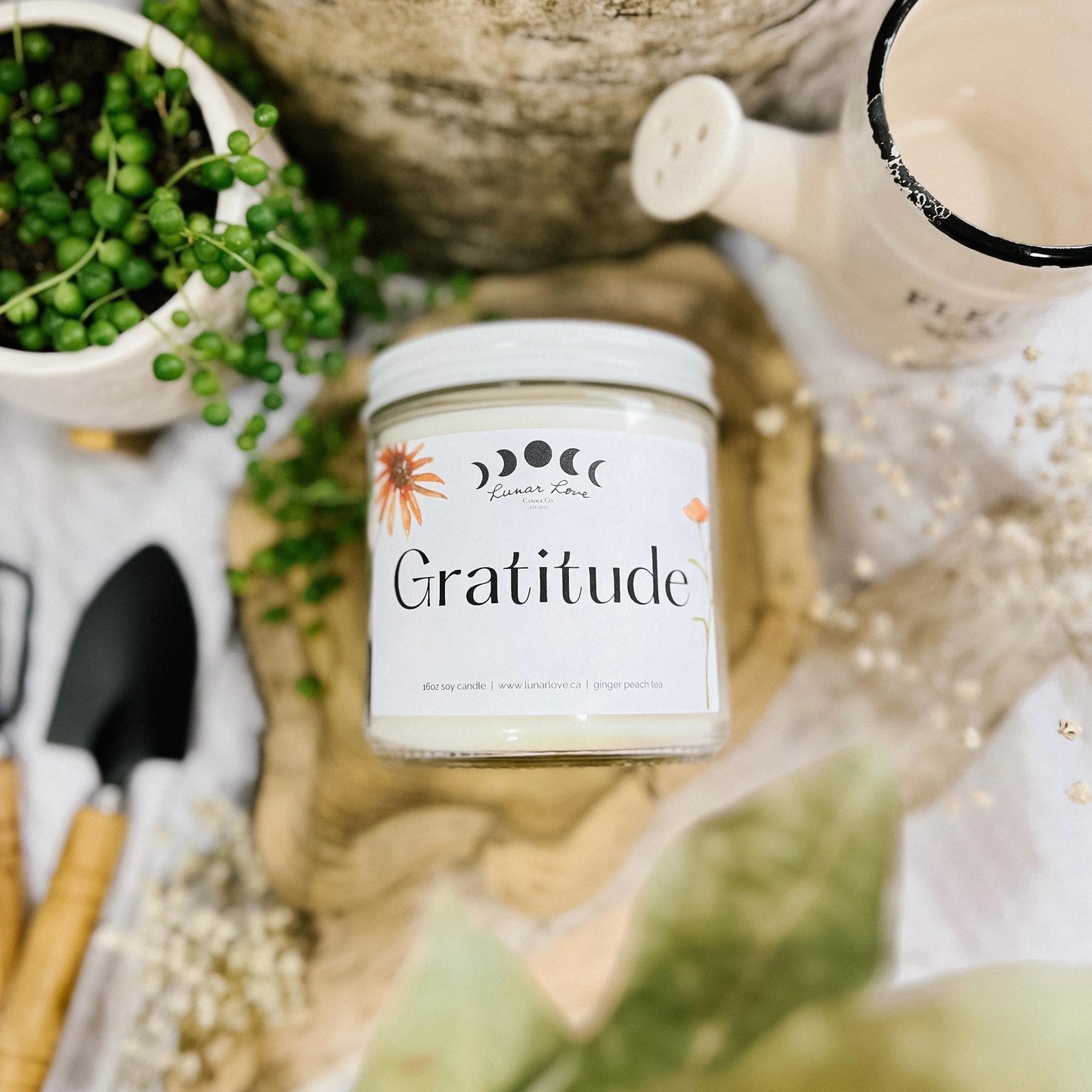 Gratitude • Ginger Peach Tea